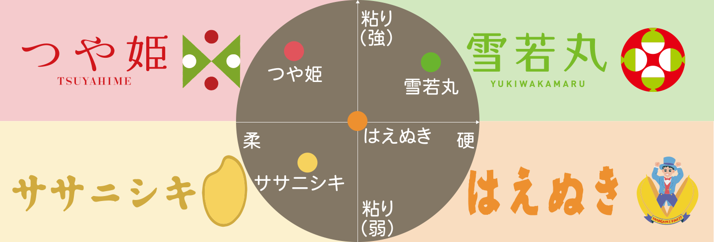 shonai_img02