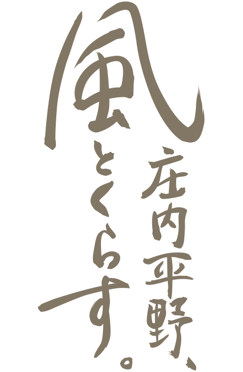 shonai_img04